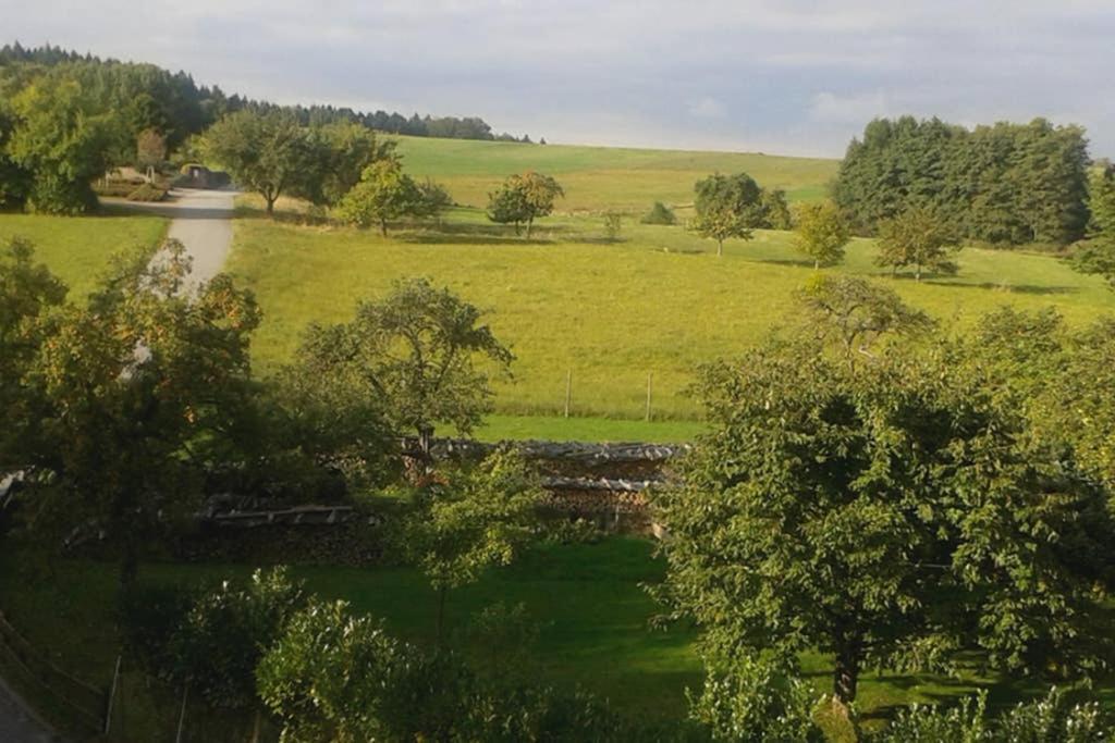 Anna - neue Ferienwohnung mit Blick ins Grüne Ober-Abtsteinach Exterior foto