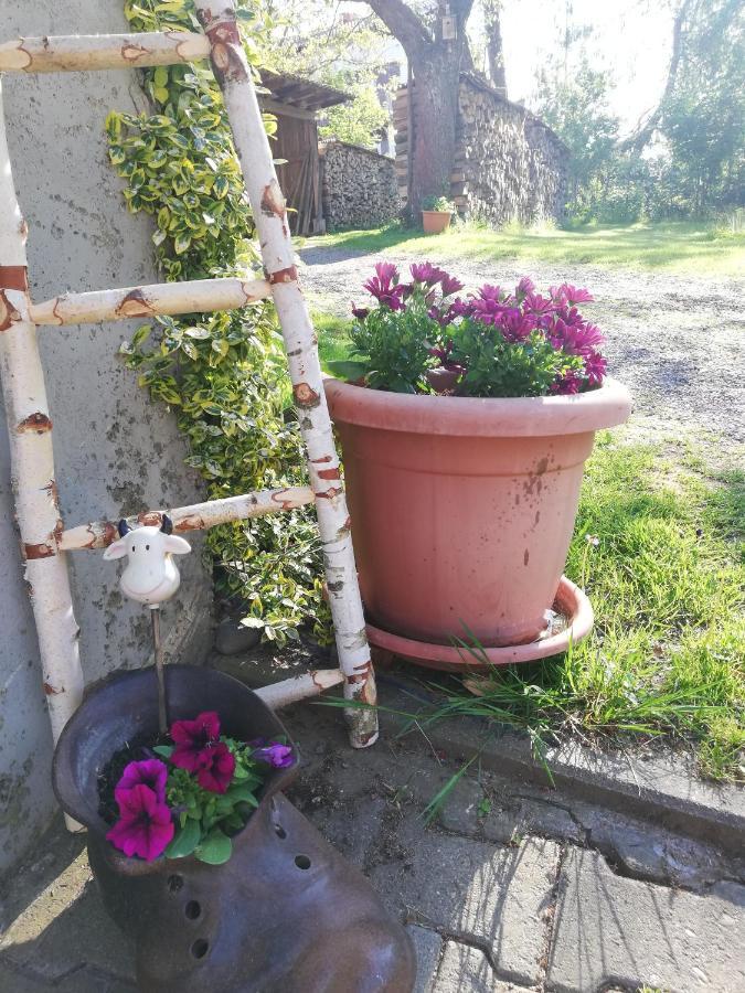 Anna - neue Ferienwohnung mit Blick ins Grüne Ober-Abtsteinach Exterior foto